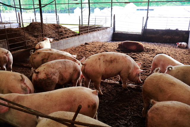 畜産施設の臭気対策