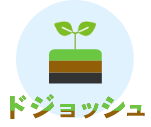 ドジョッシュ